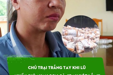 Chủ trại trắng tay khi lũ nhấn chìm vạn con gà: "Đau xót lắm!"