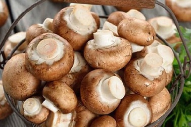 Ăn nhiều nấm giảm nguy cơ ung thư
