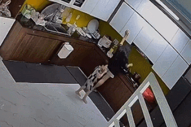 Clip “tai nạn bất ngờ khi sử dụng bếp gas” nổi bật tuần qua