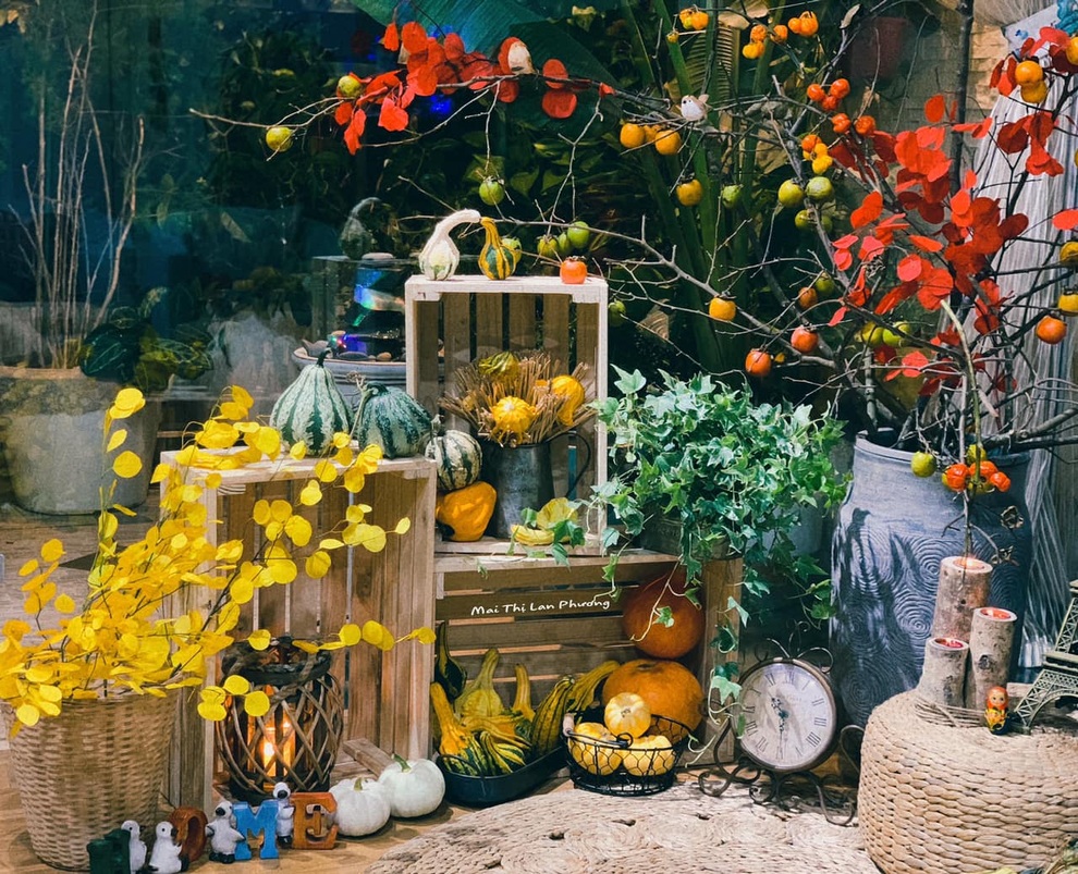 Người Hà Nội mua bí ngô khổng lồ trang trí Halloween sớm - 1 Người Hà Nội mua bí ngô khổng lồ trang trí Halloween sớm - 1