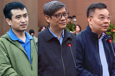 Đại án Việt Á: 38 "mắt xích" và bản án khoan hồng đặc biệt