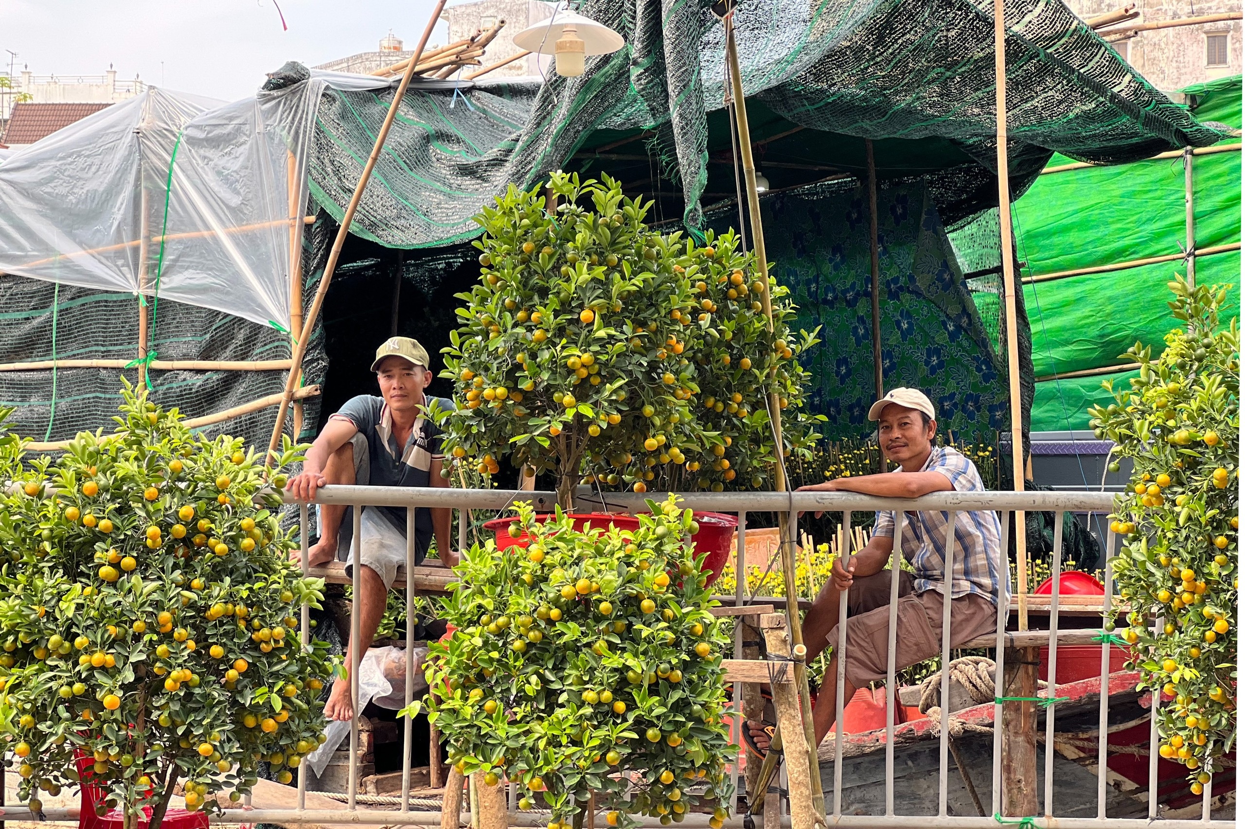 Nỗi niềm thương hồ miền Tây đem hoa lên TPHCM bán Tết - 6 Nỗi niềm thương hồ miền Tây đem hoa lên TPHCM bán Tết - 6