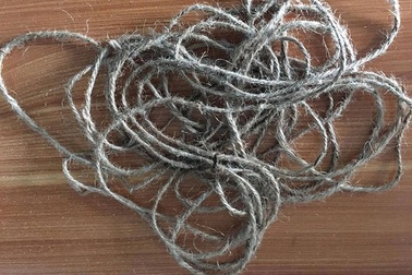 Chết tức tưởi vì xin đi nhờ xe… kẻ cướp