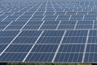 Chuyển dịch năng lượng bền vững: Cần có sự hợp lực