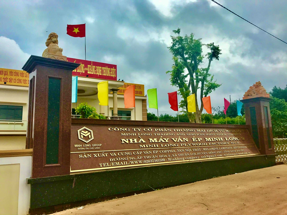 Công ty Minh Long đưa vào vận hành nhà máy sản xuất ván ép hiện đại - 2