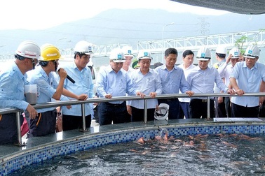 Thủ tướng Nguyễn Xuân Phúc thị sát Formosa Hà Tĩnh