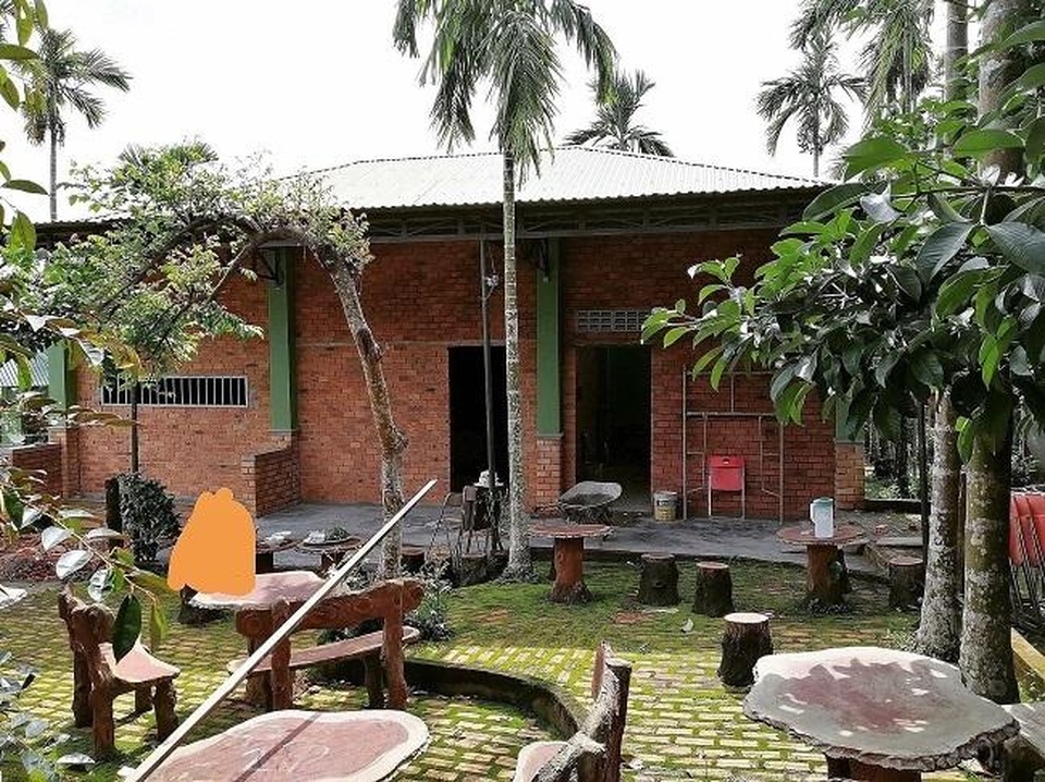 Gia đình ở Đắk Lắk rời phố thị, về quê làm vườn bội thu rau trái - 3 Gia đình ở Đắk Lắk rời phố thị, về quê làm vườn bội thu rau trái - 3