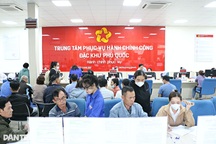 Cấp tỉnh quyết định biên chế công chức của chính quyền địa phương đặc khu