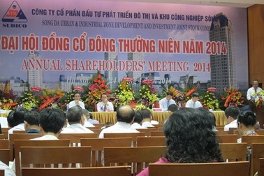 Sudico tiến thoái lưỡng nan việc thoái vốn