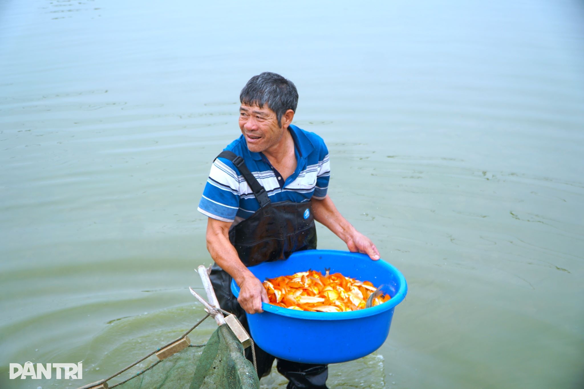 Πιάνοντας το μεγαλύτερο δίχτυ της χρονιάς, κερδίζοντας εκατοντάδες εκατομμύρια ντονγκ με την ευκαιρία του Φεστιβάλ Ong Cong Ong Tao - 12 Cất mẻ lưới lớn nhất năm, kiếm trăm triệu đồng dịp Tết ông Công ông Táo - 12