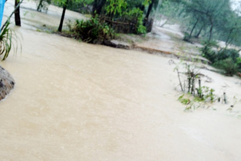 Vỡ bờ kè trong đêm, hơn 300 nhà dân ngập sâu