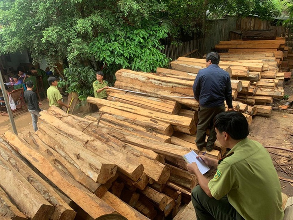 Khởi tố thêm nhiều đối tượng trong vụ “đột kích” xưởng gỗ lậu “khủng” - 2 Khởi tố thêm nhiều đối tượng trong vụ “đột kích” xưởng gỗ lậu “khủng” - 2