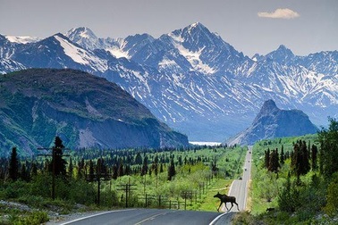 Vợ chở xác chết của chồng đi "phượt"