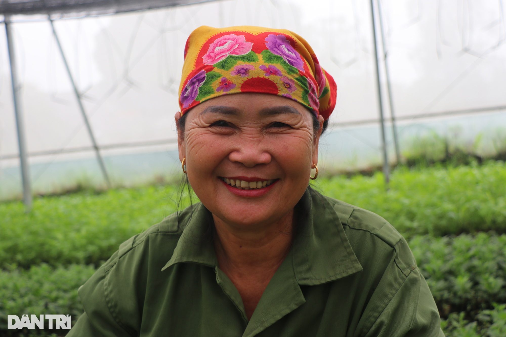 Rải tiền tỷ, nhặt tiền lẻ, nữ nông dân thu hàng trăm triệu đồng mỗi năm - 7 Rải tiền tỷ, nhặt tiền lẻ, nữ nông dân thu hàng trăm triệu đồng mỗi năm - 7