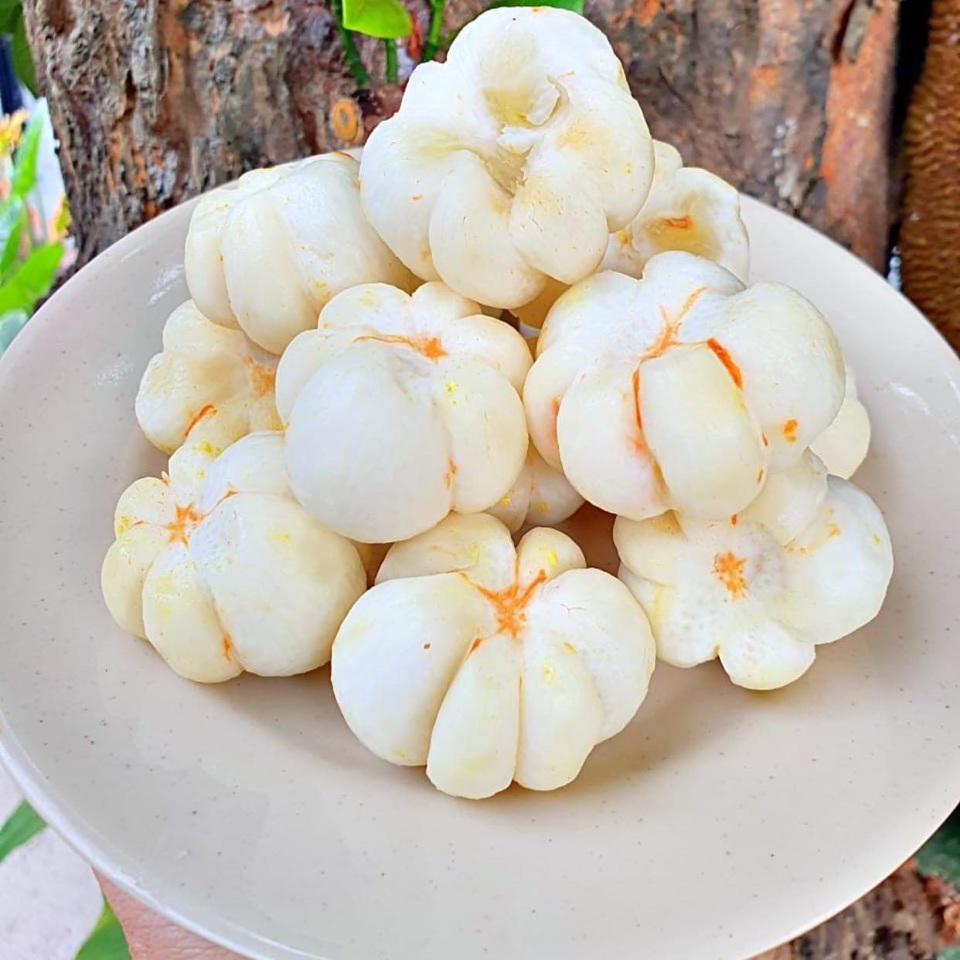 Đặc sản măng cụt xanh đi máy bay, giá nửa triệu đồng/kg vẫn hút khách - 2 Đặc sản măng cụt xanh đi máy bay, giá nửa triệu đồng/kg vẫn hút khách - 2