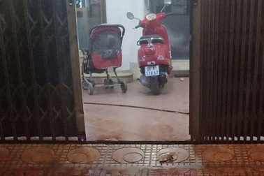 Đuổi theo kẻ ném chất bẩn, chủ nhà bị gãy chân