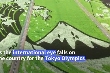 Mê mẩn những bức tranh siêu đẹp trên đồng lúa xanh