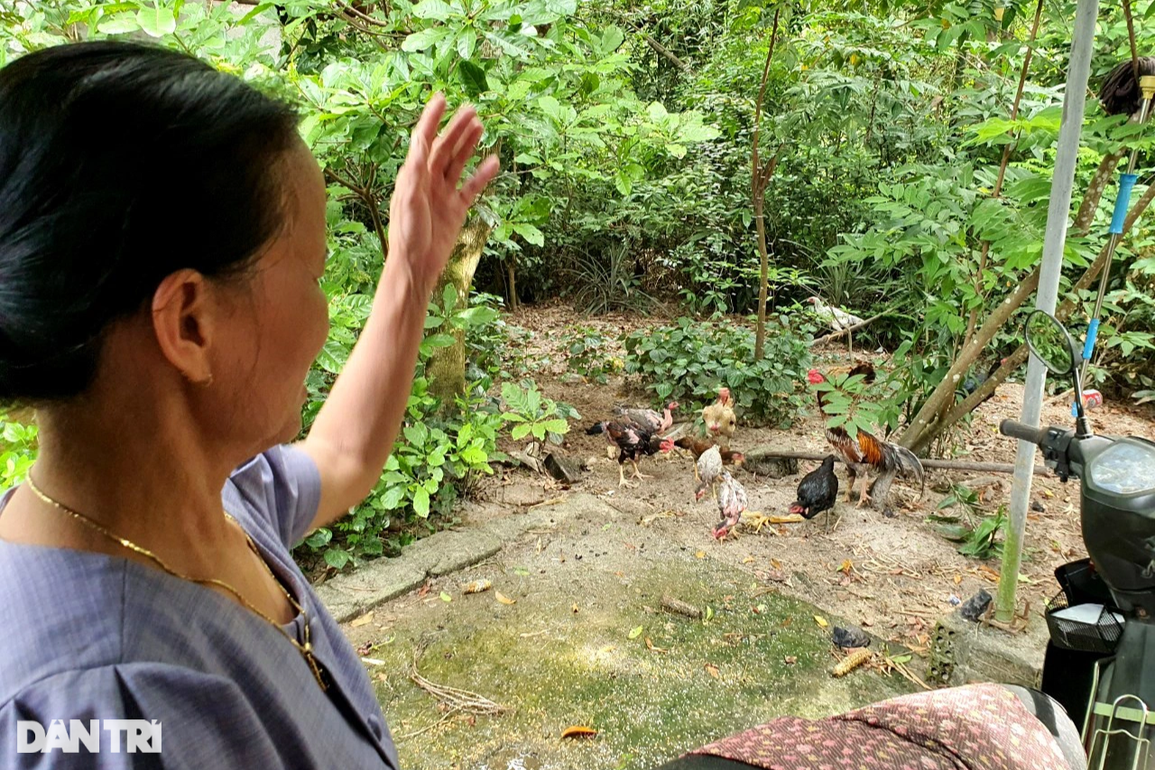 Tham gia bảo hiểm, về già có lương hưu, đỡ gánh lo cho con cháu - 2 Tham gia bảo hiểm, về già có lương hưu, đỡ gánh lo cho con cháu - 2