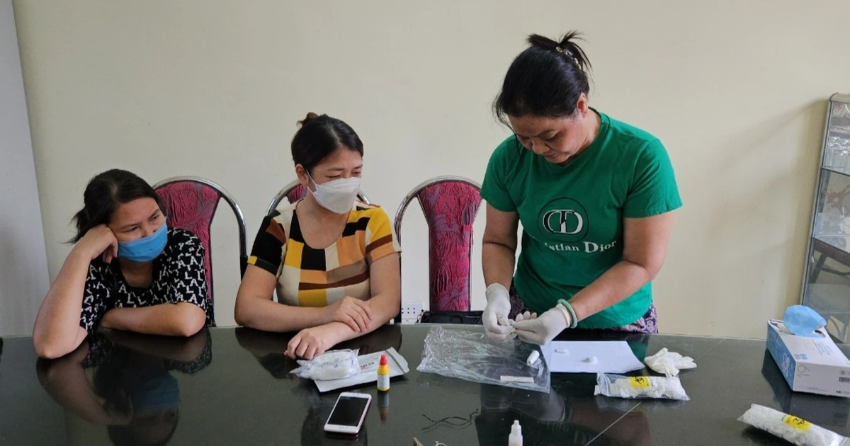 dantri.com.vn