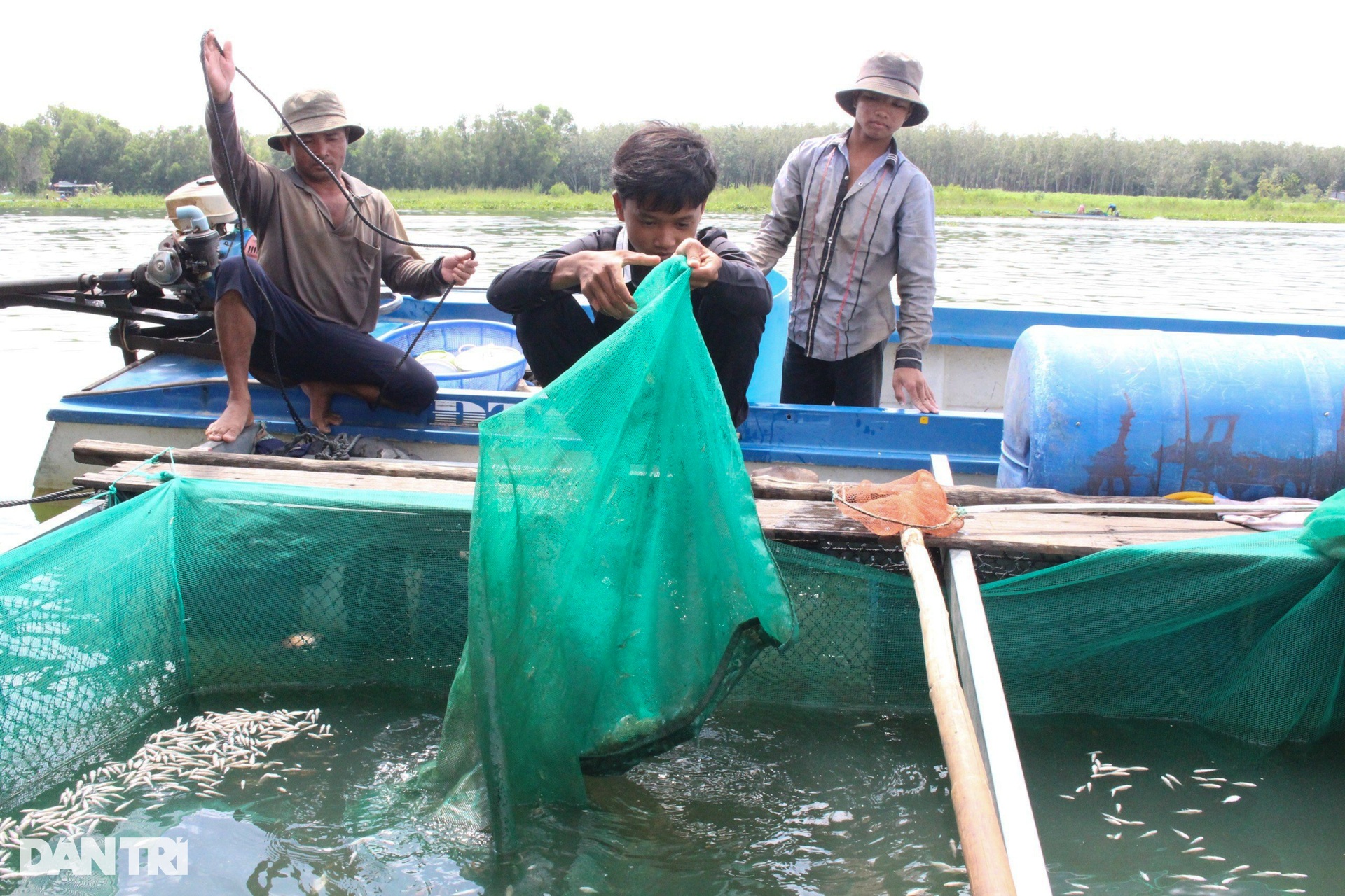Cuộc sống lênh đênh của hàng chục hộ dân trên hồ Dầu Tiếng - 6 Cuộc sống lênh đênh của hàng chục hộ dân trên hồ Dầu Tiếng - 6