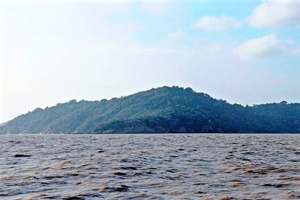Cử tri đảo Hòn Khoai, Hòn Chuối háo hức đi bầu cử sớm - 1 Cử tri đảo Hòn Khoai, Hòn Chuối háo hức đi bầu cử sớm - 1