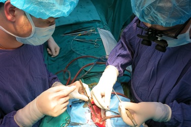 Lần đầu tiên Việt Nam ghép tim thành công từ người lớn sang bệnh nhi nhỏ tuổi