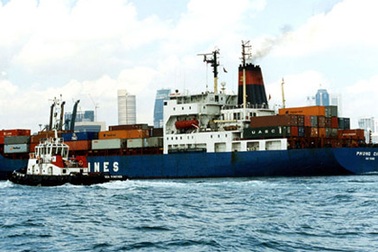 DNNN thua lỗ: Thất bại của Ban kiểm soát?