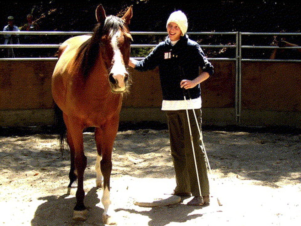 Kỳ lạ: Bác sĩ Mỹ điều trị ung thư bằng... ngựa - 3 Kỳ lạ: Bác sĩ Mỹ điều trị ung thư bằng... ngựa - 3