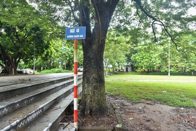 Báu vật “cụ” sưa trăm tuổi, giá 60 tỷ đồng ở ngôi đình cổ Hà Nội - 5 Báu vật “cụ” sưa trăm tuổi, giá 60 tỷ đồng ở ngôi đình cổ Hà Nội - 5