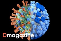 Covid-19 sắp trở thành bệnh lưu hành như cúm mùa?