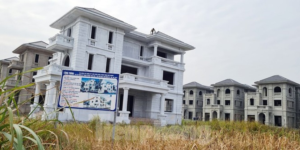 Biệt thự nuôi gà, trồng rau ngoại thành Hà Nội bất ngờ được thổi giá dựng ngược - 14 Biệt thự nuôi gà, trồng rau ngoại thành Hà Nội bất ngờ được thổi giá dựng ngược - 14