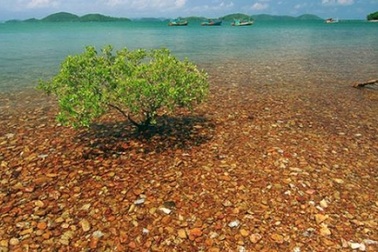 Dân phượt "sốt xình xịch" với đảo Bà Lụa hoang sơ