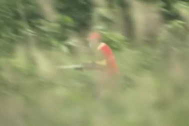 Gấu bị bắn chết sau khi xông vào thành phố Nhật Bản