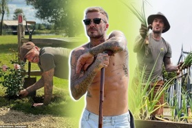David Beckham và cuộc sống "chữa lành" trên điền trang đắt giá