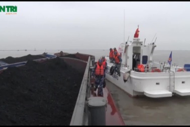 Cảnh sát biển bắt giữ tàu chở 800 tấn than lậu trên biển