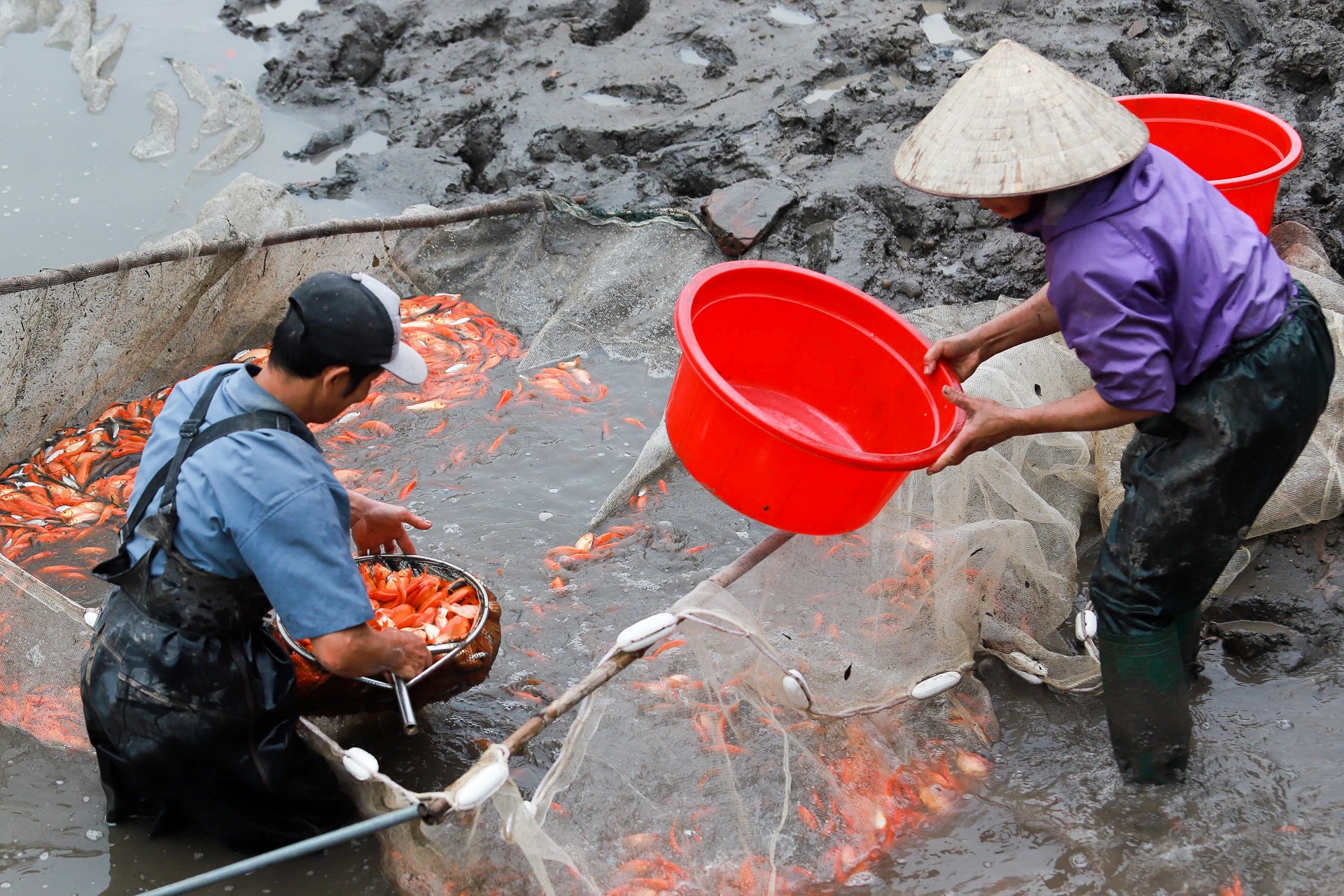 Làng nghề sản xuất phương tiện cho ông Công, ông Táo hối hả thu hoạch - 13