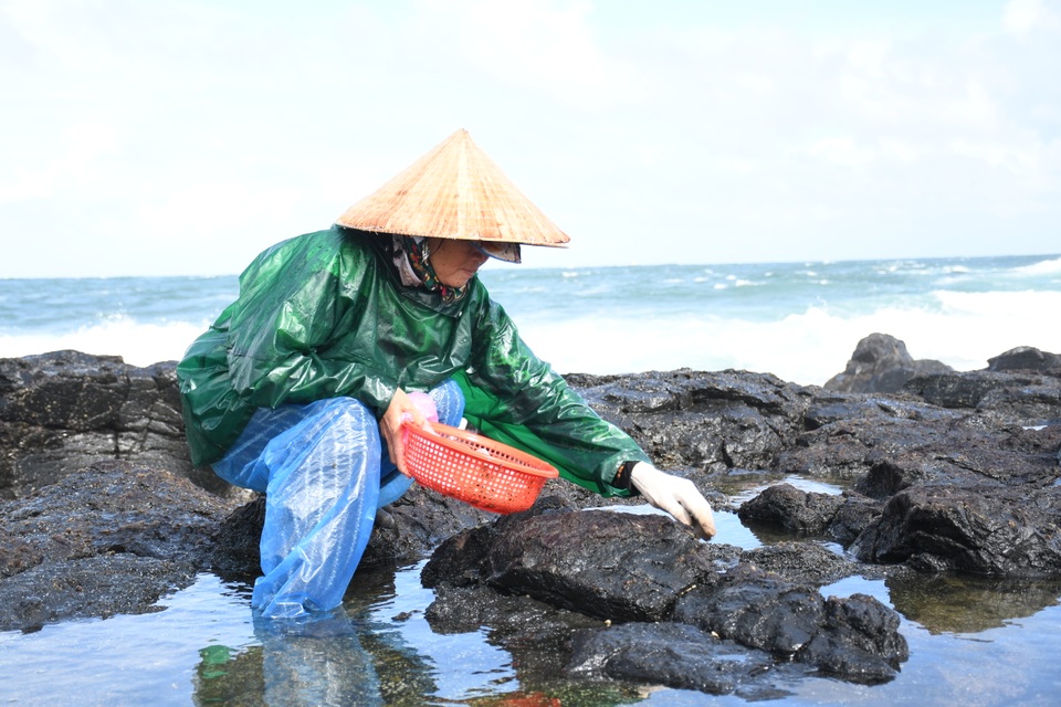 Cuối năm, đội sóng hái rong mứt trên đá nham thạch - 1 Cuối năm, đội sóng hái rong mứt trên đá nham thạch - 1