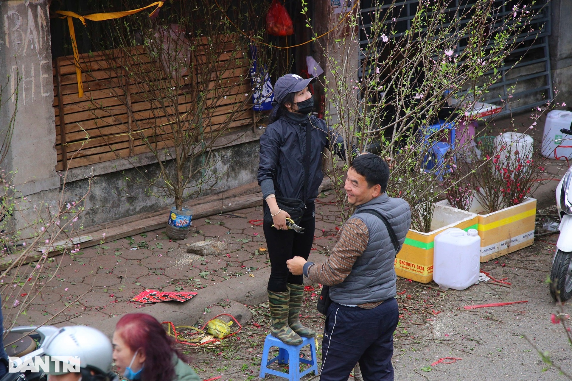 Đào cuối vụ ở Hà Nội đắt khách dịp rằm tháng Giêng - 12 Đào cuối vụ ở Hà Nội đắt khách dịp rằm tháng Giêng - 12