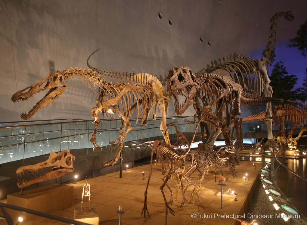 Khám phá mùa đông nên thơ tại Nhật Bản ở khu vực Hokuriku Shinetsu và Tokai - 4