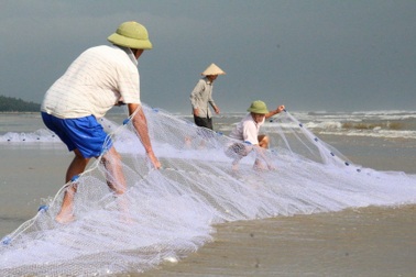 Sáng sáng kéo lưới rùng ra biển, thong thả "nhặt" tiền trăm mỗi ngày