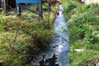 Tạm ngừng hoạt động Công ty CP Đường Bình Định?