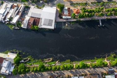 Nhà máy đường bị đình chỉ, nông dân "ôm" hàng nghìn tấn mía khóc ròng