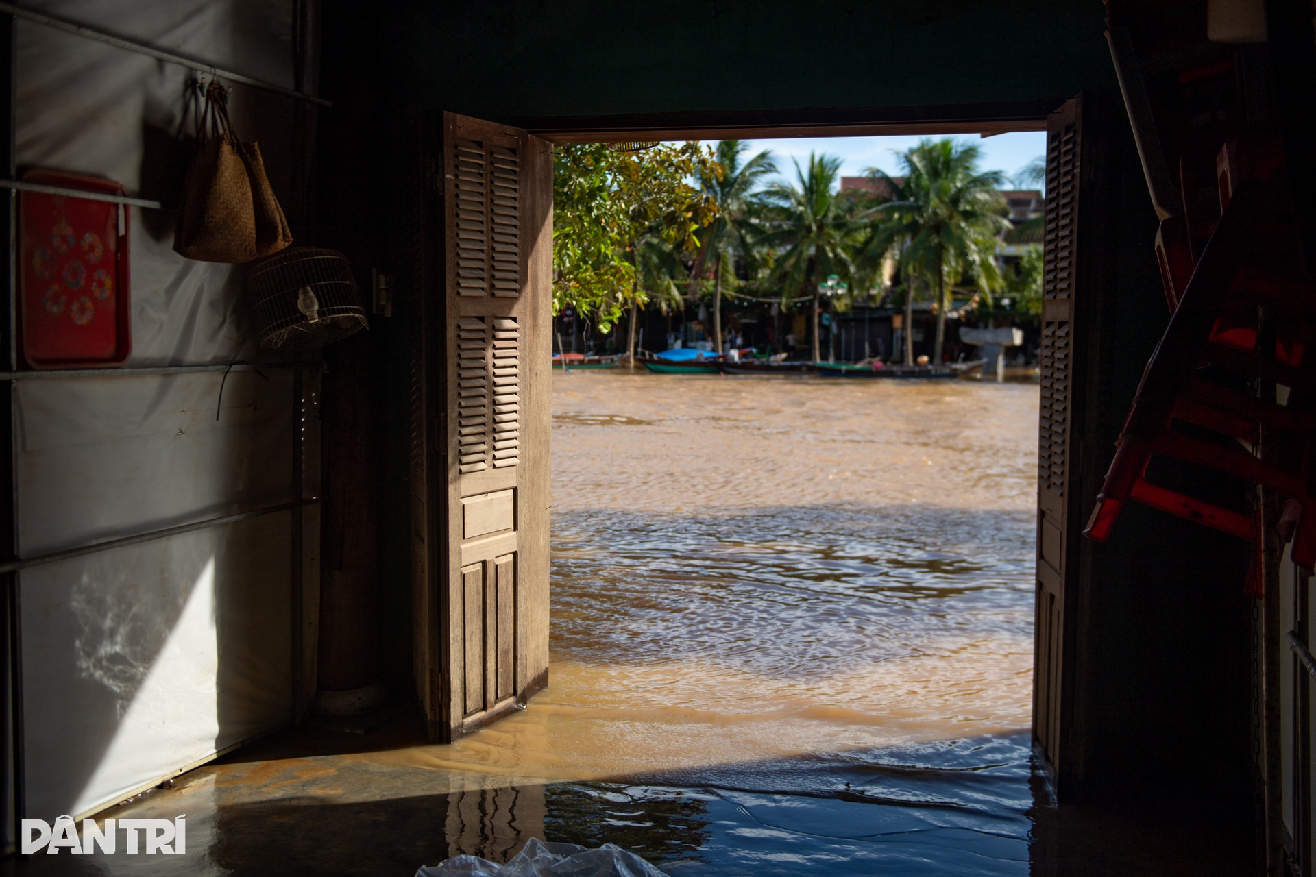 ទីក្រុង Hoi An រស់ឡើងវិញបន្ទាប់ពីព្យុះ និងទឹកជំនន់ មានភាពអ៊ូអរដើម្បីស្វាគមន៍ភ្ញៀវទេសចរមកវិញ - ៧ Hội An bừng sức sống sau bão lũ, nhộn nhịp đón khách du lịch trở lại - 7