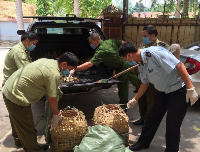 Siết chặt biên giới ngăn dịch cúm gia cầm vào Việt Nam. 
