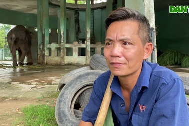 Những "bảo mẫu" chăm sóc voi, hà mã tại vườn thú Hà Nội