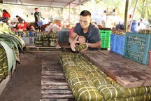 Chạy đua với thời gian để gói hơn 10.000 chiếc bánh chưng kịp Tết
