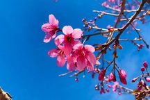 Cả nhà chồng bàn tán với lì xì của dâu mới