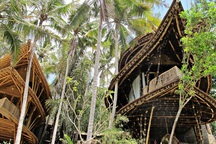 Chán nhà phố, đại gia vào rừng làm biệt thự tre thơ mộng sống thư thái