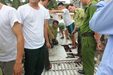 Xe biển Lào "chế" hang hốc để giấu gỗ quý, chống đối kiểm lâm