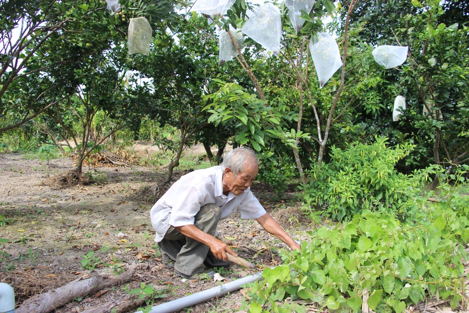 Cà Mau: Lập kế hoạch nhân rộng mô hình Câu lạc bộ liên thế hệ tự giúp nhau - 1 Cà Mau: Lập kế hoạch nhân rộng mô hình Câu lạc bộ liên thế hệ tự giúp nhau - 1